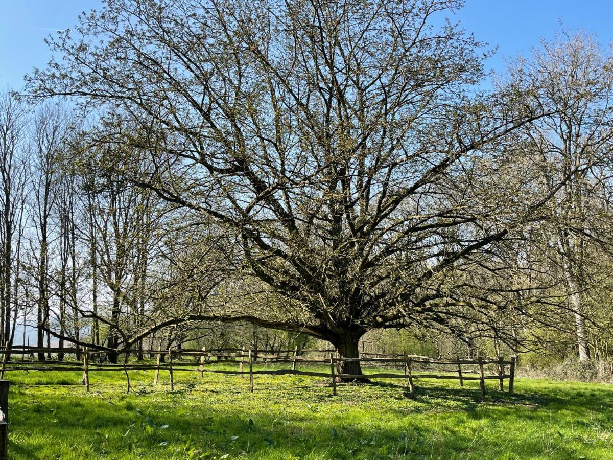 Loison-sur-Créquoise Domaine De Fresnoy B&B 외부 사진