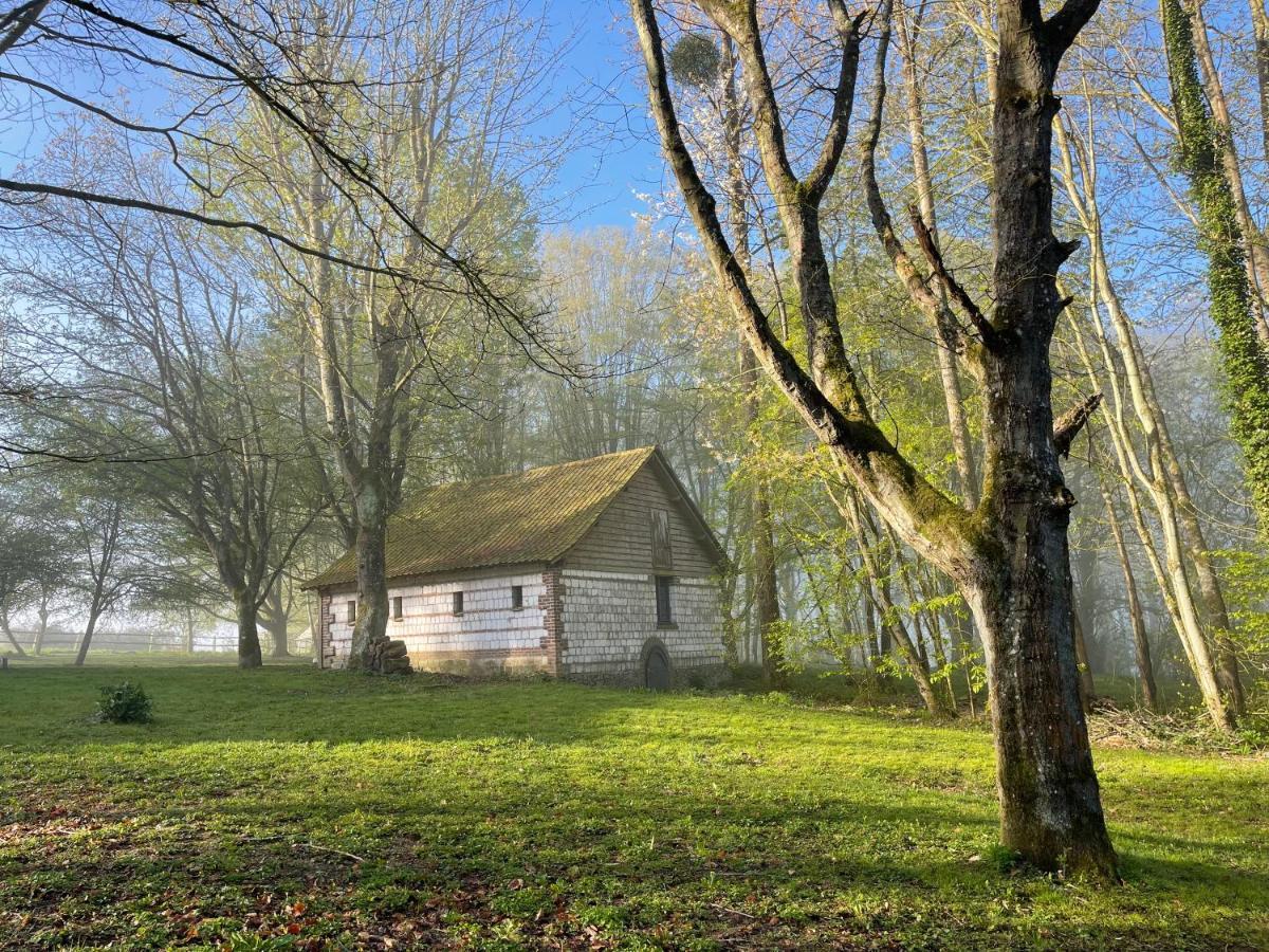 Loison-sur-Créquoise Domaine De Fresnoy B&B 외부 사진