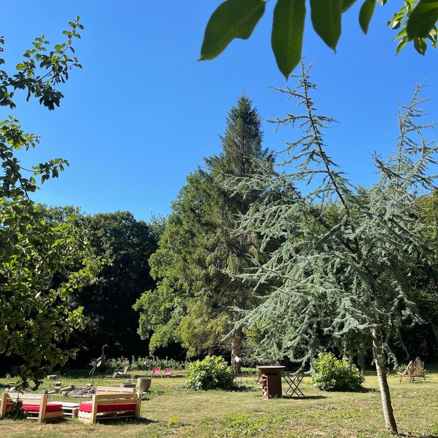 Loison-sur-Créquoise Domaine De Fresnoy B&B 외부 사진