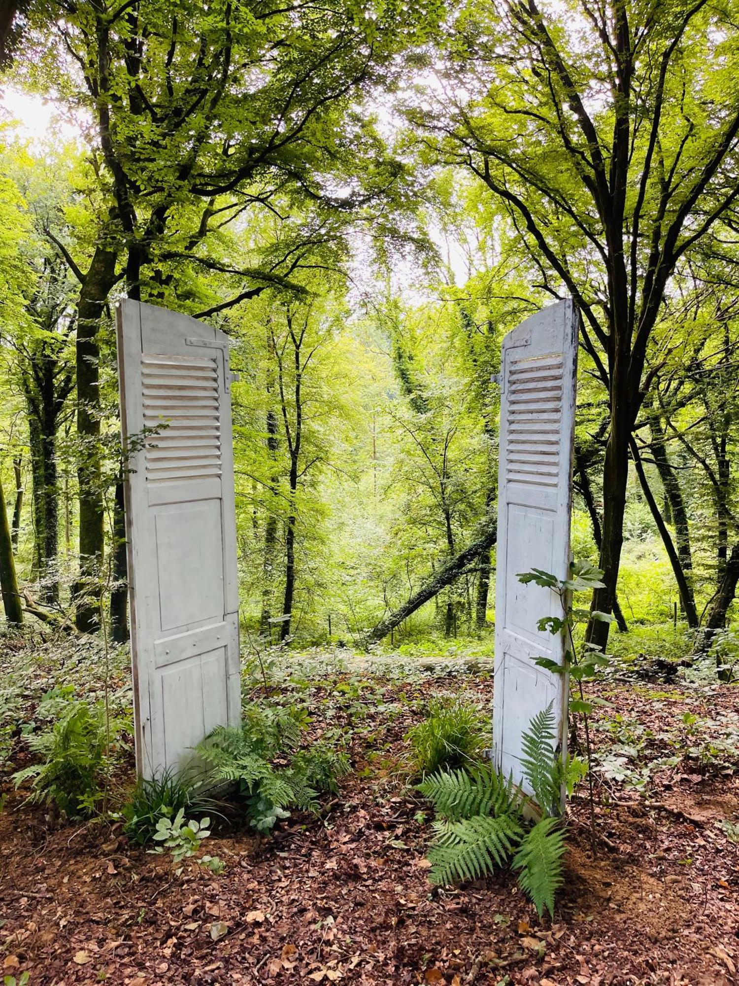 Loison-sur-Créquoise Domaine De Fresnoy B&B 외부 사진