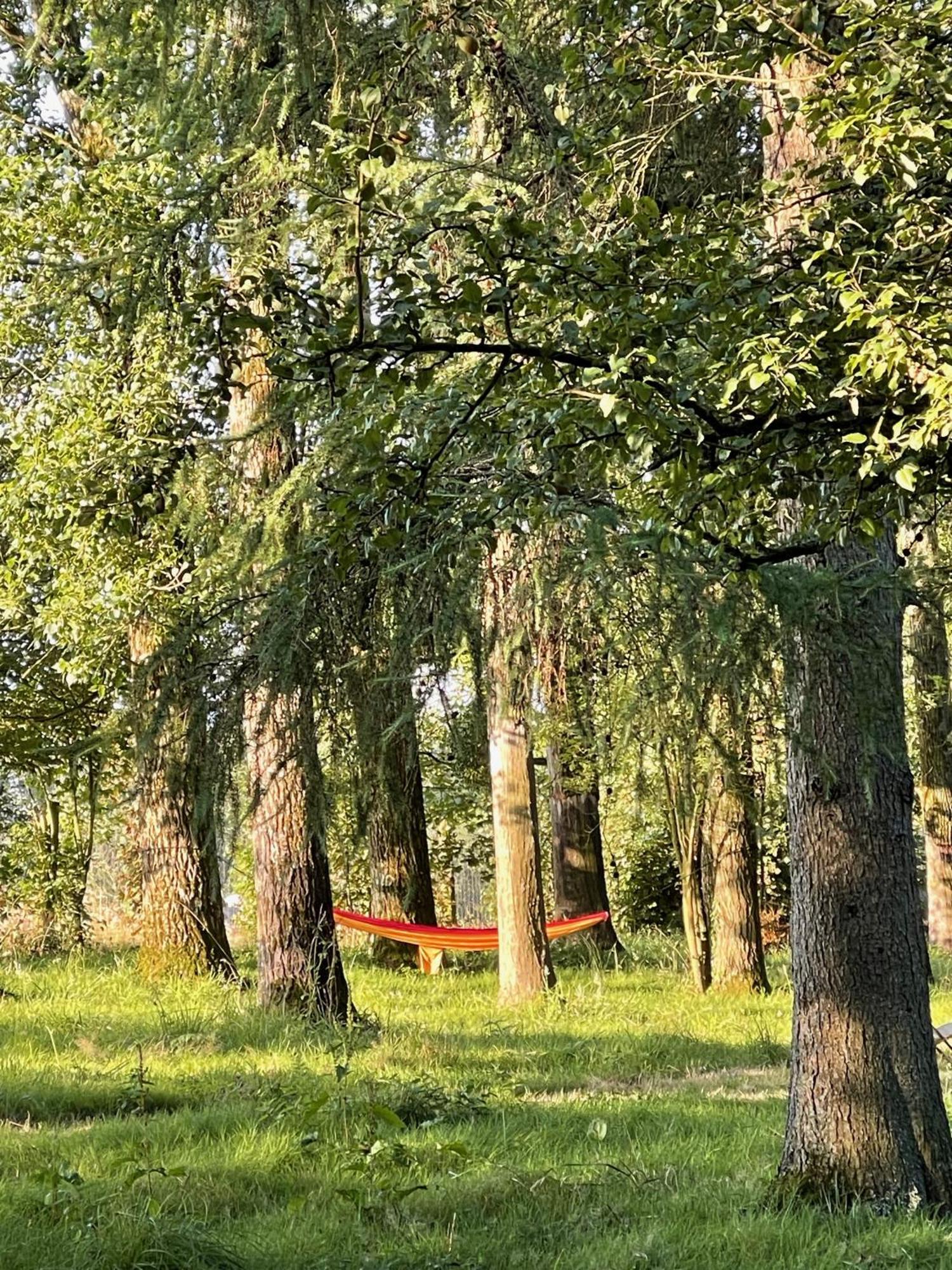 Loison-sur-Créquoise Domaine De Fresnoy B&B 외부 사진