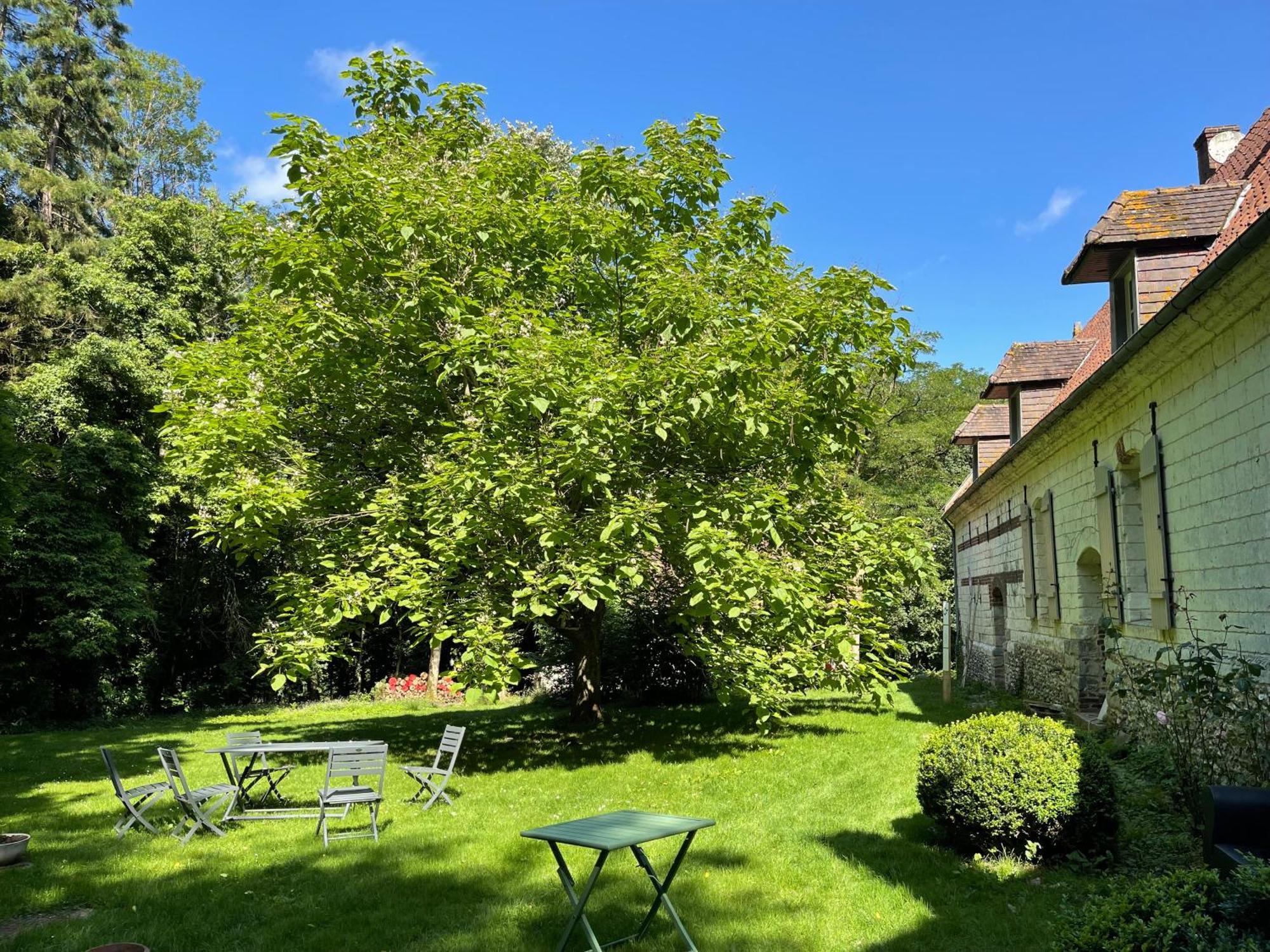 Loison-sur-Créquoise Domaine De Fresnoy B&B 외부 사진